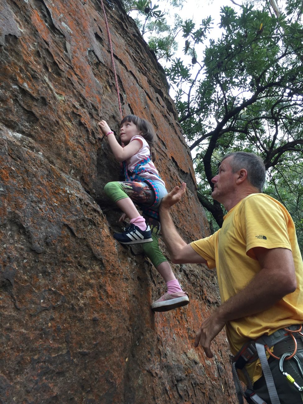 A climber on a steep outdoor rock face, used as a general illustration for the Mount Arapiles access story.