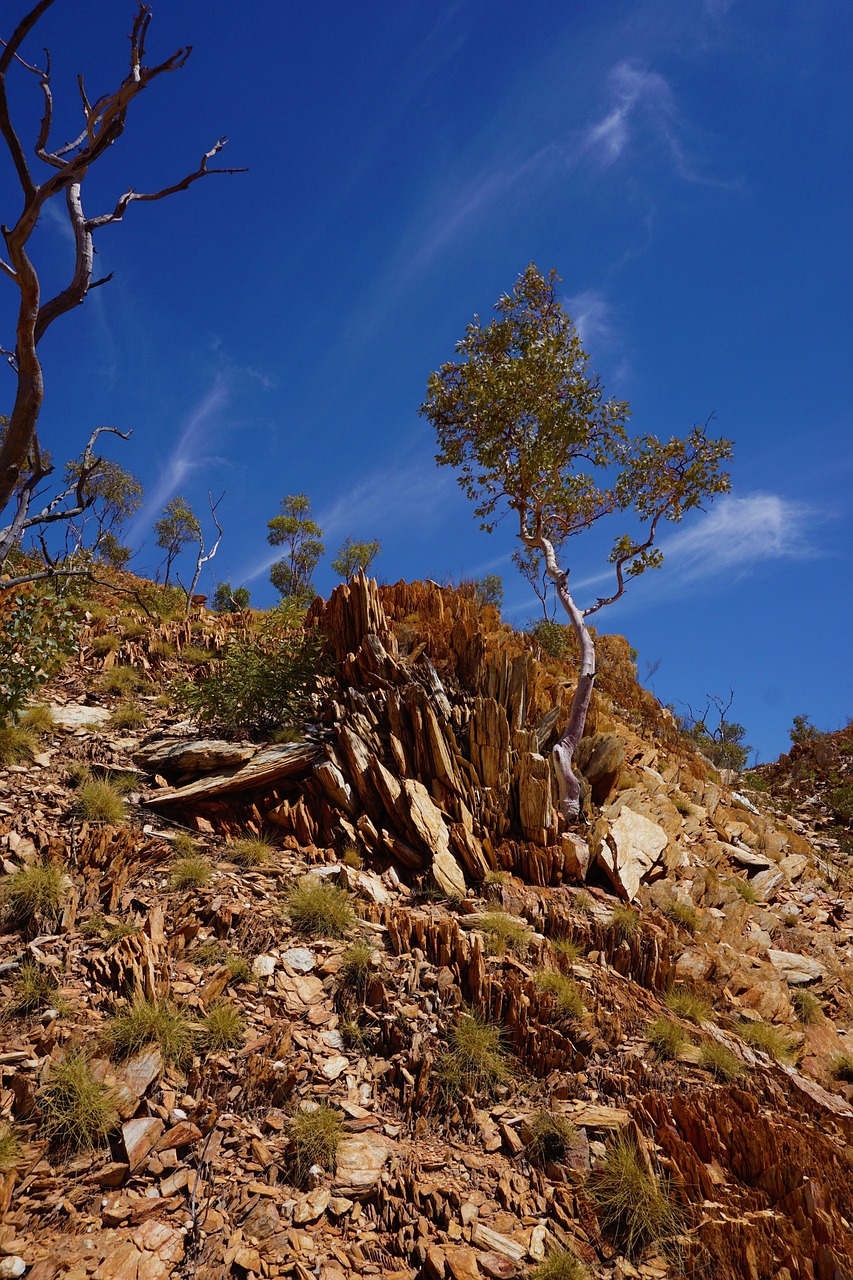 Mount Isa mine landscape connected to the miners memorial story
