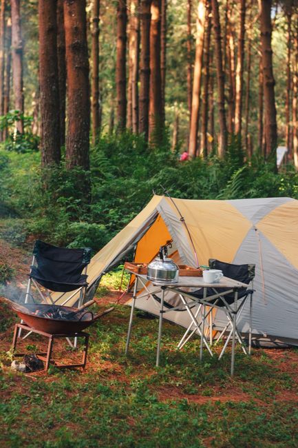 Forest campsite with tent, folding chairs and a cleared fire pit