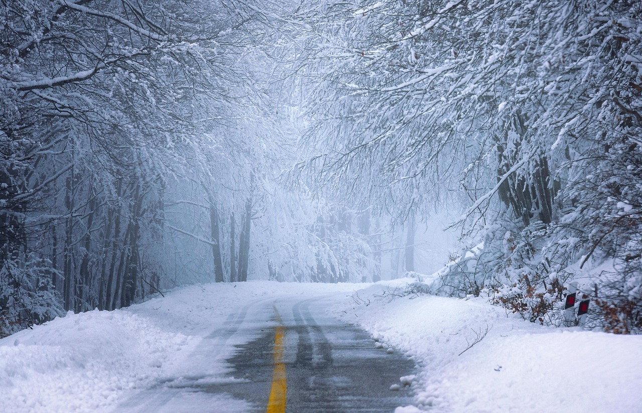 A frost-covered road through snowy bushland at sunrise, matching the early-start chill of the south-east cold front.