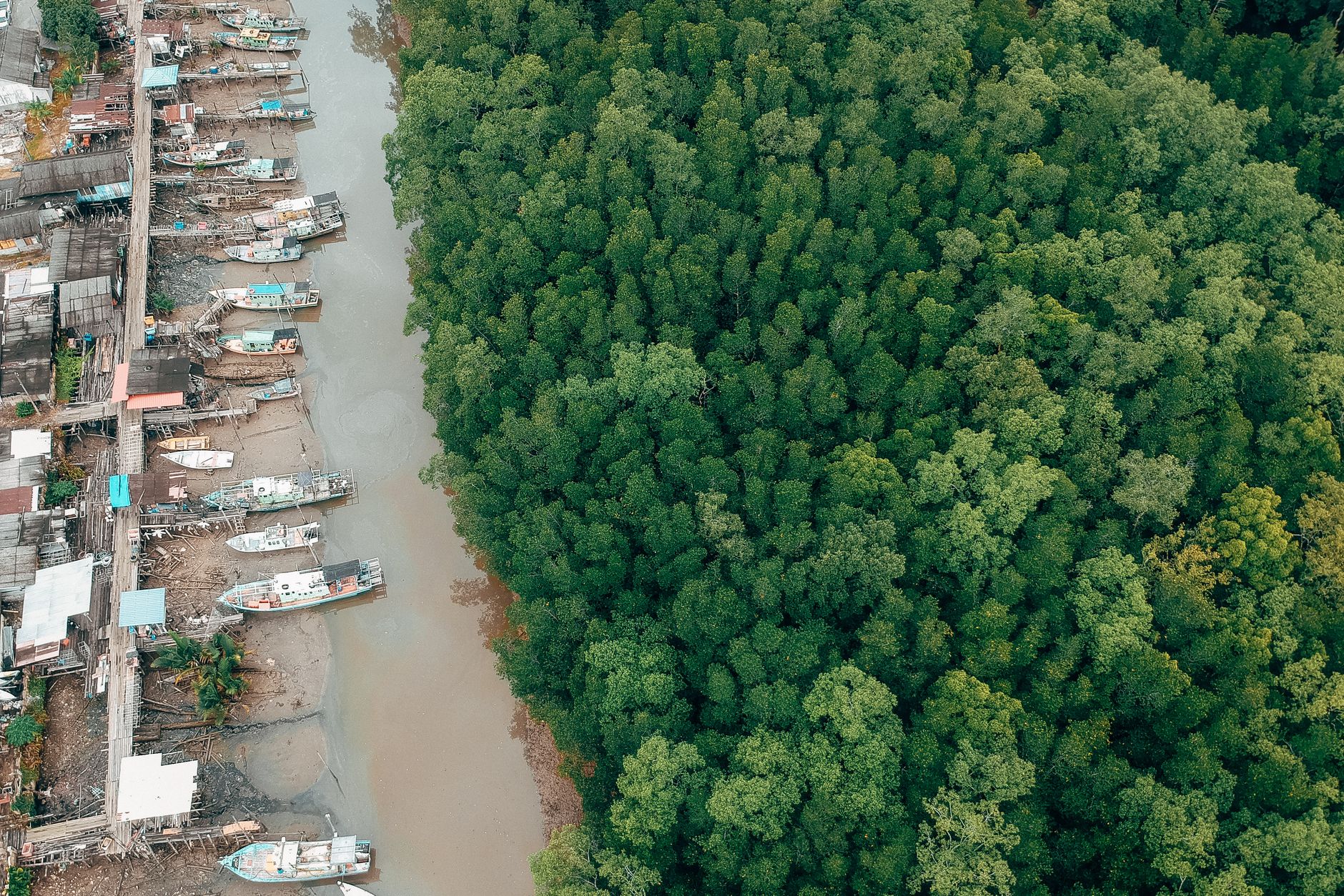 Aerial view of boats tied up beside a mangrove-lined estuary.